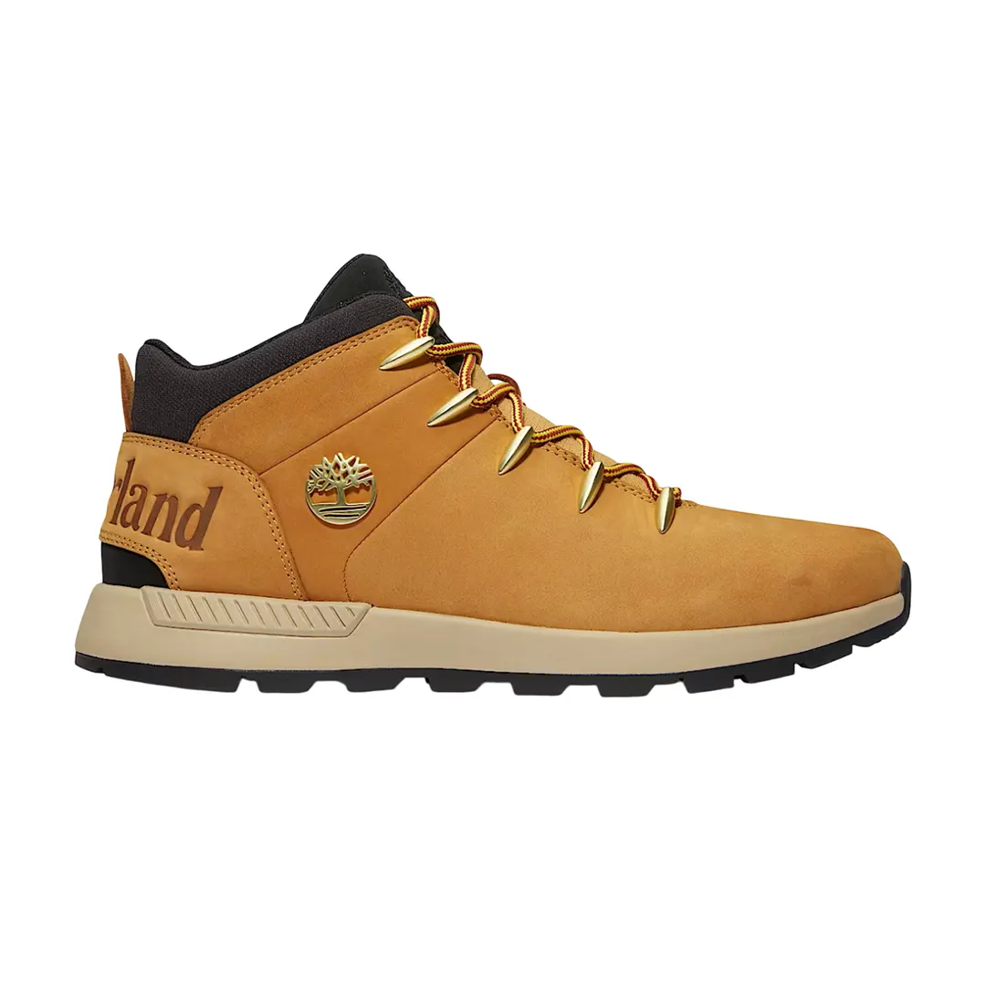 Scarpe